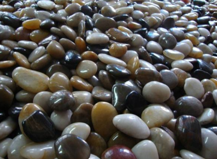 西城鹅卵石的不同规格有不同的用途（鹅卵石的种类及用途）