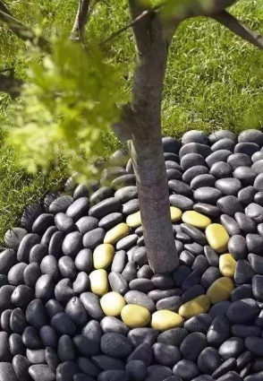 红桥鹅卵石铺在树根部会影响树的生长吗？（树根旁为什么要放一些大的鹅卵石）