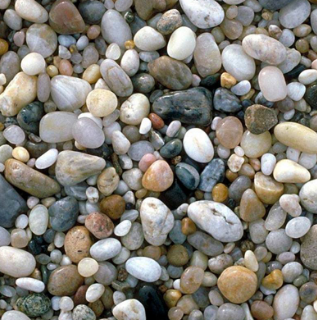 澳门新城鹅卵石质量鉴别（鹅卵石怎么区分好坏）